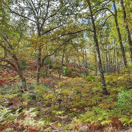 Apartamentos Rurales Entre Fuentes Cuacos de Yuste Kültér fotó
