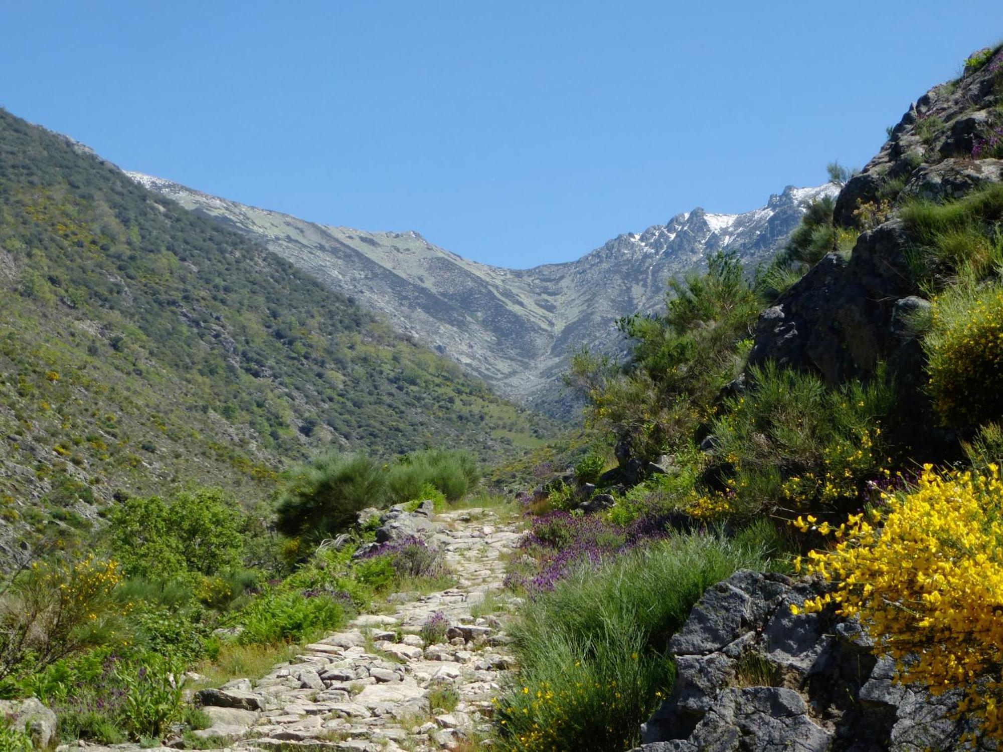 Apartamentos Rurales Entre Fuentes Cuacos de Yuste Kültér fotó