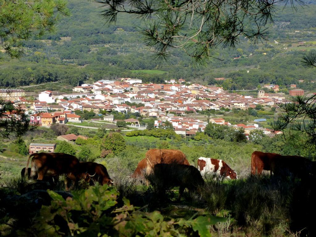 Apartamentos Rurales Entre Fuentes Cuacos de Yuste Kültér fotó